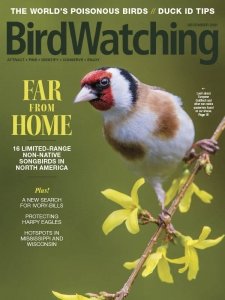 BirdWatching USA - 11/12 2021