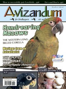 Avizandum - 07.2018