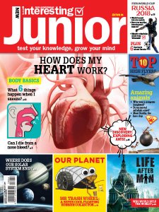 Very Interesting Junior - 06.2018