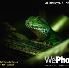 WePhoto. Animals - 05.2018