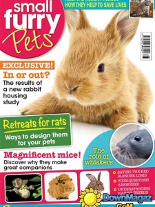 Small Furry Pets - August-September 2016