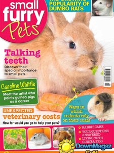 Small Furry Pets - April - May 2016