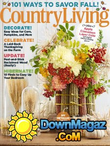 Country Living USA - 11.2017