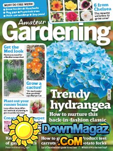 Amateur Gardening - 17.06.2017