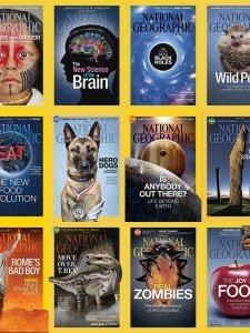 National Geographic USA - 2014 Full Year