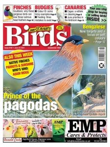 Cage & Aviary Birds – 22 June 2021