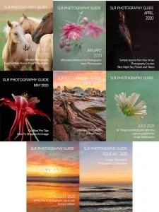 SLR Photography Guide - 2020 Full Year Compilation