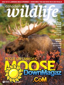 Canadian Wildlife - 09/10 2017