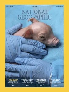 National Geographic USA - 06.2025