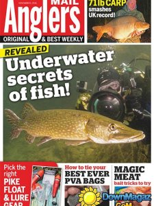 Angler's Mail - November 1, 2016