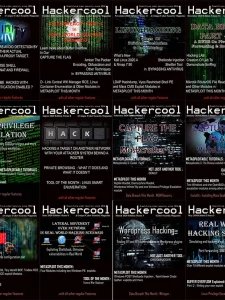 Hackercool - 2020 Full Year