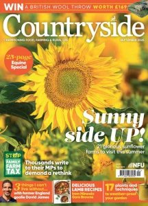 Countryside - 09.2025