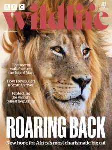 BBC Wildlife - 07.2025