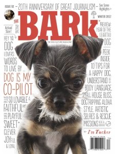 The Bark - Winter 2017