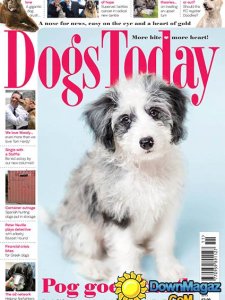 Dogs Today UK - November 2015