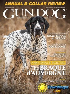 Gun Dog - June - July 2016