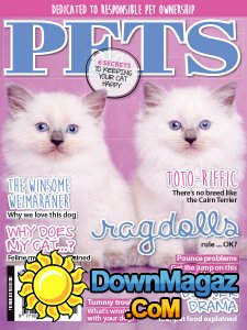 Pets AU - 10/11 2017