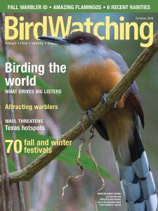 BirdWatching - 10.2018