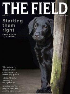 The Field - 04.2022