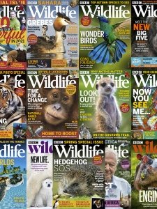 BBC Wildlife - 2021 Full Year