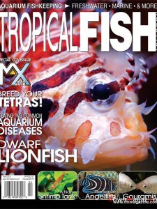 Tropical Fish Hobbyist Magazine April 2012