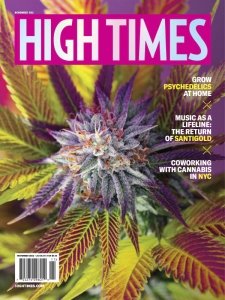 High Times - 11.2022