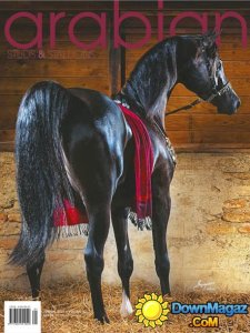 Arabian Studs & Stallions AU - Annual 2016