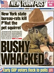 New York Post - 11.3.2024