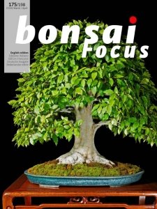 Bonsai Focus - 03/04 2022