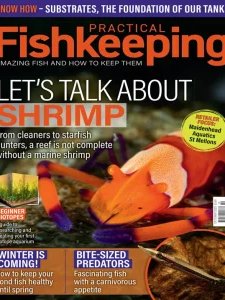Practical Fishkeeping - 10.2025