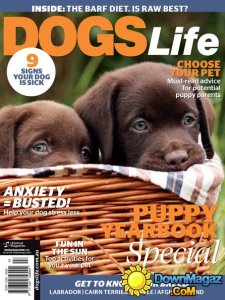 Dogs Life AU - January-February 2016