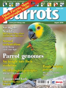 Parrots - 08.2019