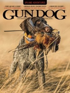 Gun Dog - 11.2020