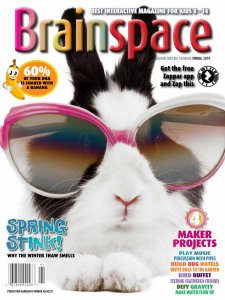 Brainspace - Spring 2019