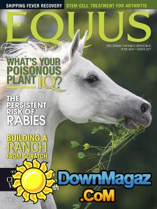 Equus - 06.2017