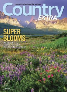 Country Extra - 05.2018