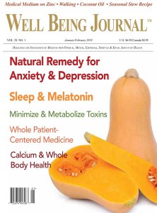 Well Being Journal - 01/02 2019