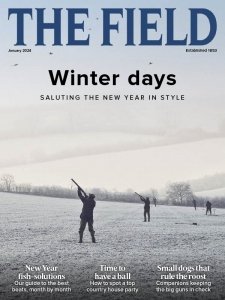 The Field - 01.2024