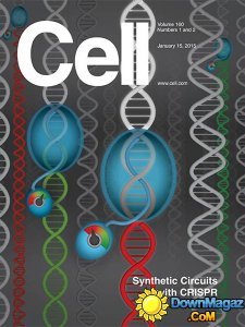 Cell - 15 January 2015