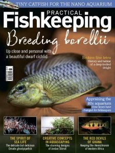 Practical Fishkeeping - 11.2021