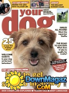 Your Dog - 03.2017