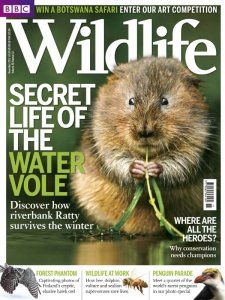 BBC Wildlife - 11.2012