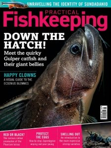 Practical Fishkeeping - 08.2021