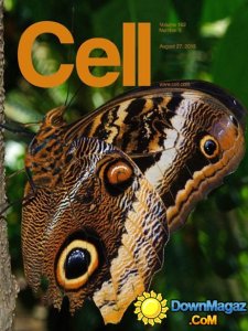 Cell USA - 27 August 2015