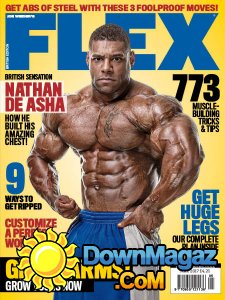 Flex UK - 05.2017