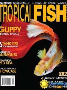 Tropical Fish Hobbyist - December 2014