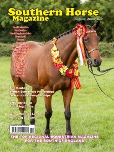 Southern Horse - 02.2023