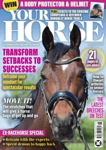 Your Horse - 08.2025