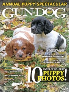 Gun Dog - 03/04/05 2018