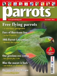 Parrots - 12.2022